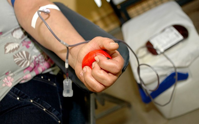 Célia aguarda resultado de articulações políticas para pedir nova &#8216;licença médica&#8217;