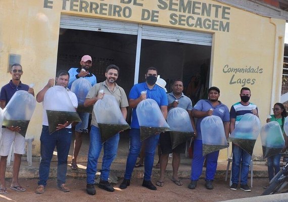 Prefeitura de Piranhas distribui alevinos para produtores da agricultura familiar
