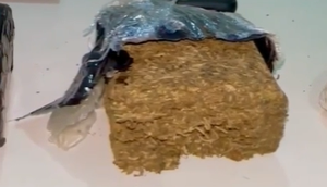 Motorista de aplicativo é preso por entregar drogas em Aracaju