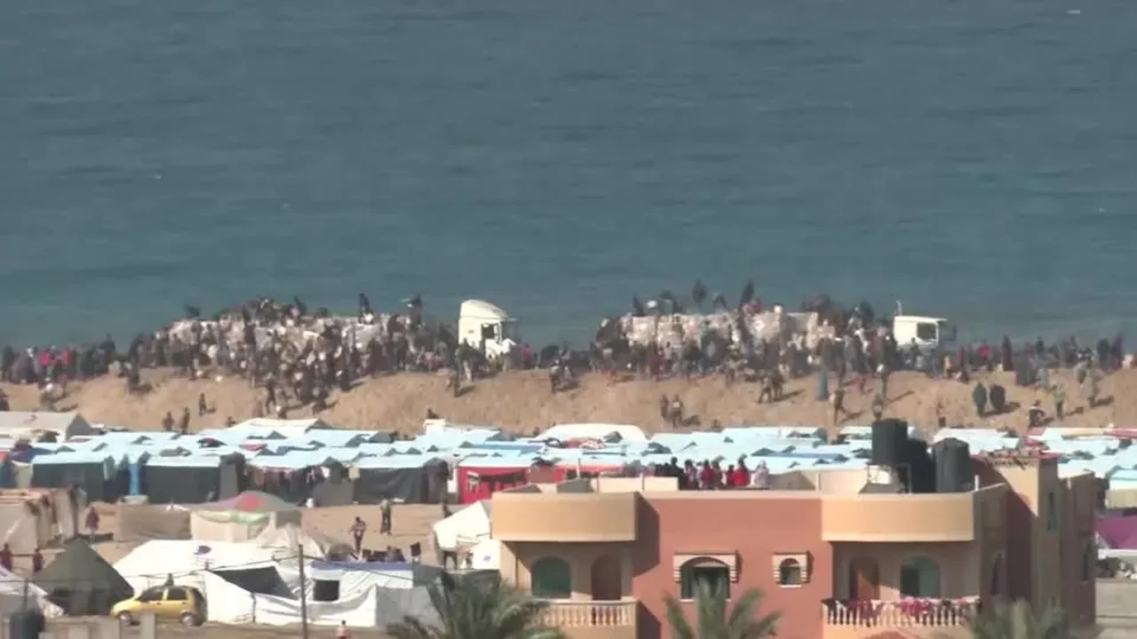 Coordenadora da ONU alerta que ajuda aérea e marítima para Gaza não substitui a terrestre