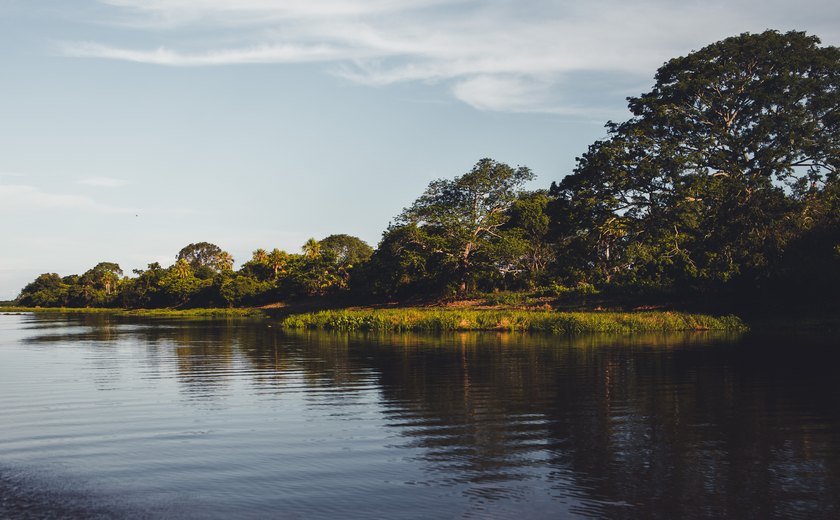 Refilmagem de novela Pantanal aquece turismo na região mato-grossense