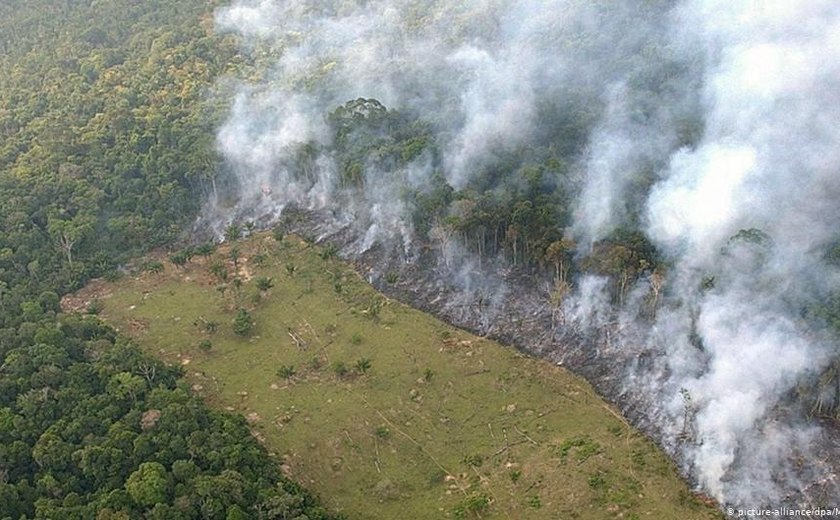 Desmatamento na Amazônia cresce 85% em 2019