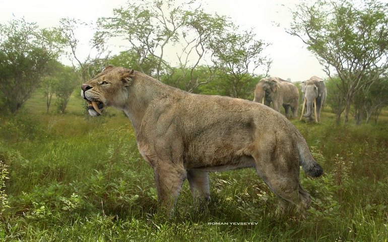 Descoberta Inesperada: Pesquisadores encontram fragmentos de um tigre dentes de sabre na Argentina 