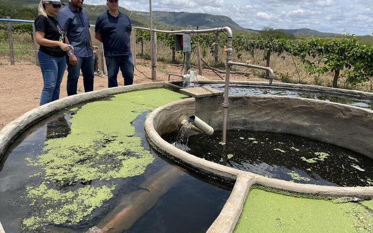 Seagri conhece programa de criação de peixe em recirculação de água para piscicultores familiares