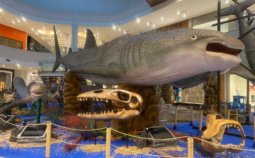 Exposição de tubarões é destaque no Parque Shopping Maceió