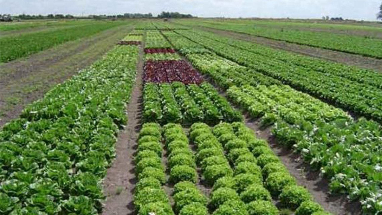 Produtos dos APLs serão degustados por representantes de bares e restaurantes