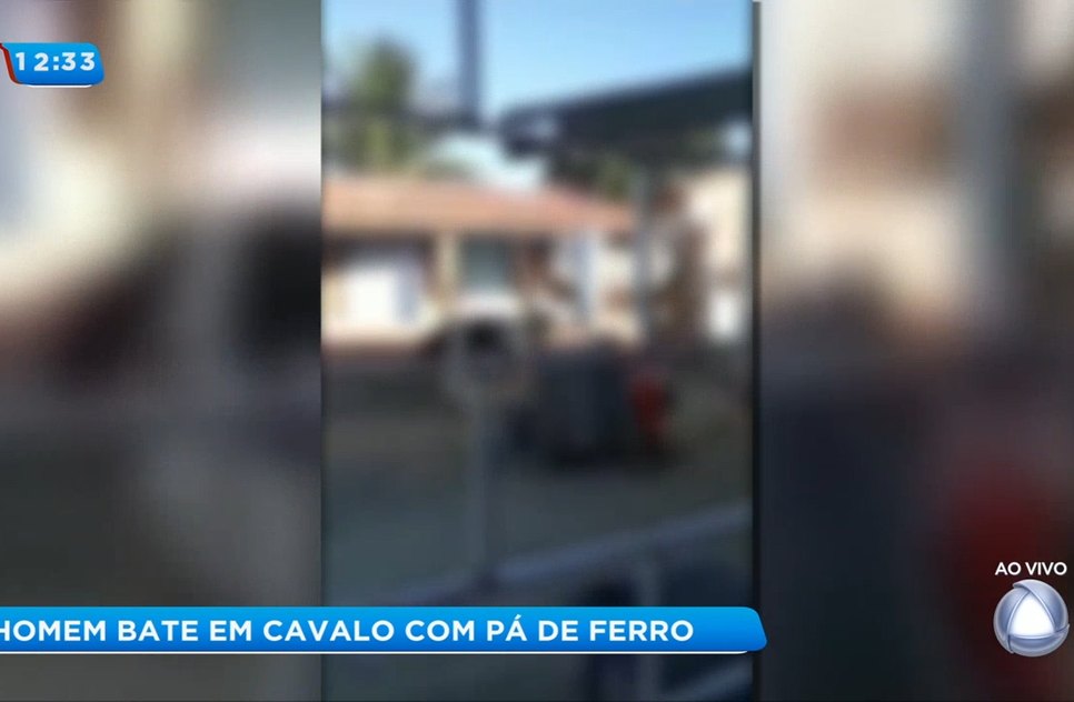 Cavalo