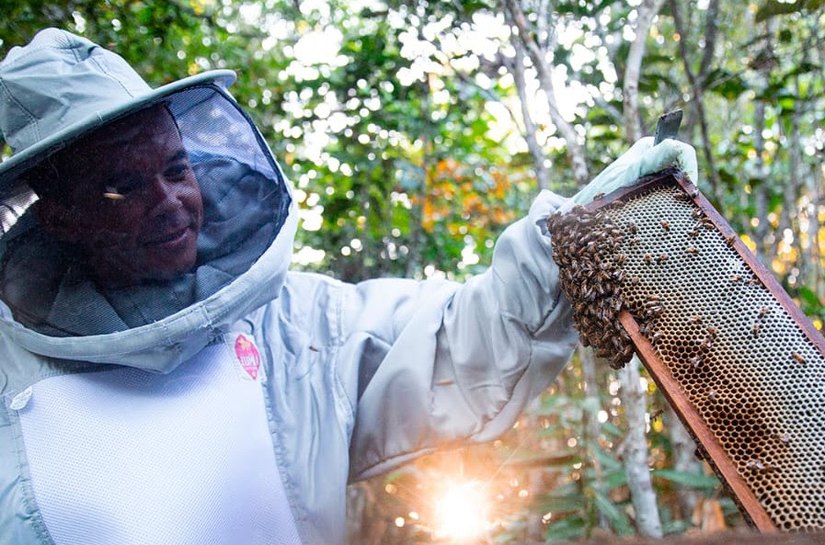 Banco do Nordeste impulsiona apicultura em Alagoas com aumento de 47% no crédito em 2025
