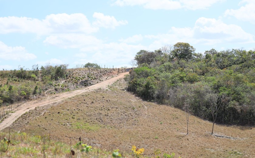 FPI flagra área desmatada equivalente a mais de 200 campos de futebol em Lagoa da Canoa e São Sebastião