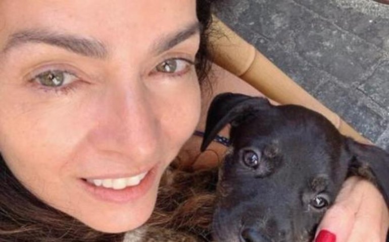 Claudia Ohana devolve cães adotados e é criticada por Luisa Mell