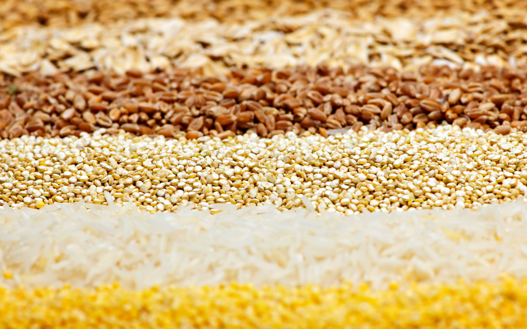 Arábia Saudita abre mercado para sementes brasileiras de variadas espécies