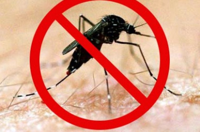 Fóruns debatem o combate e cuidados contra o Aedes aegypti