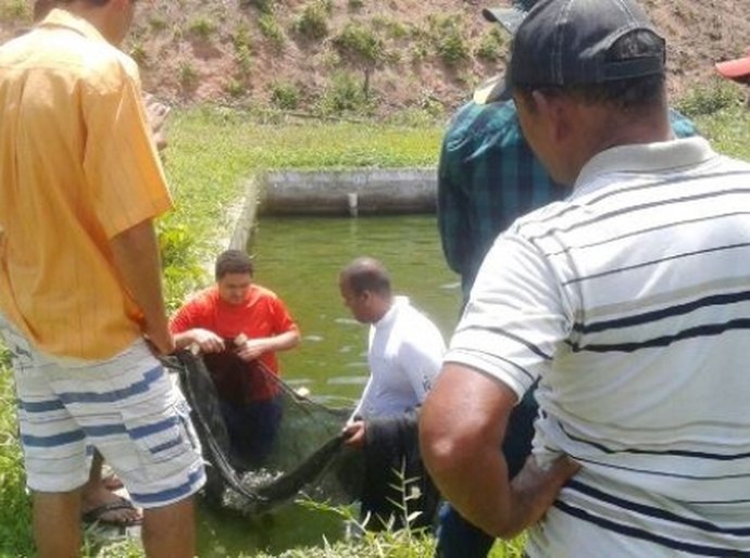 Produtores de Messias são capacitados em piscicultura