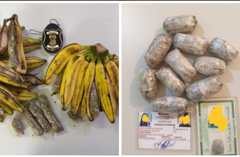 DROGAS ESCONDIDAS BANANA BISCOITO / Foto: Sejuc