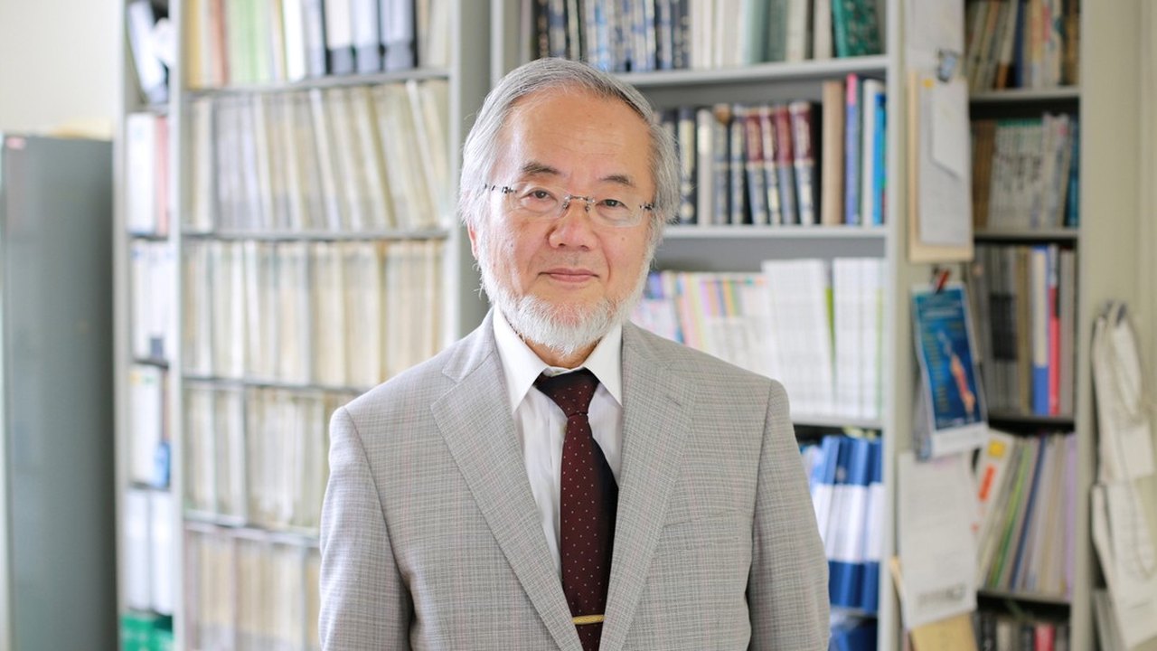 Japonês leva Nobel de Medicina por pesquisa sobre reciclagem da célula