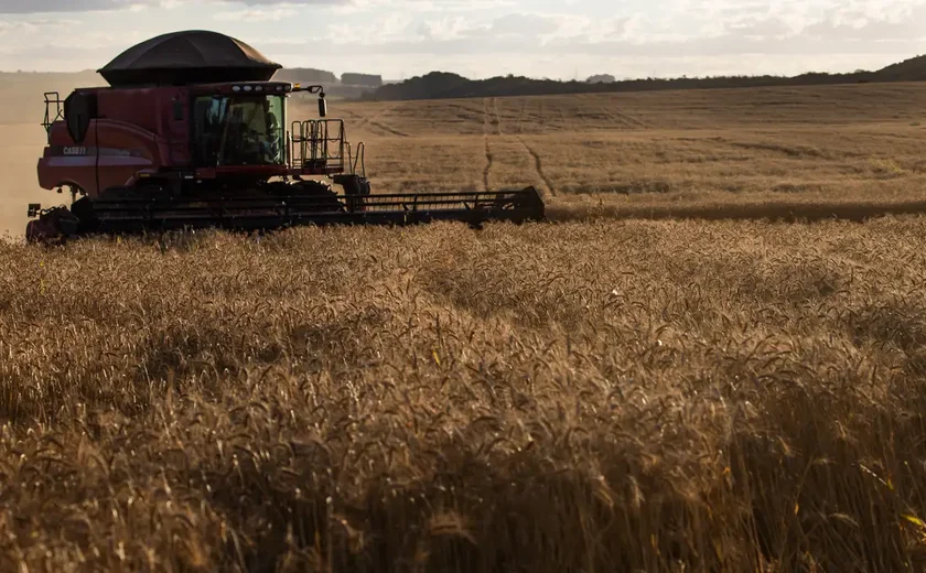 Bem Brasil é vencedora na Categoria Alimentos e Bebidas no Prêmio Melhores  do Agronegócio 2023 da Globo Rural