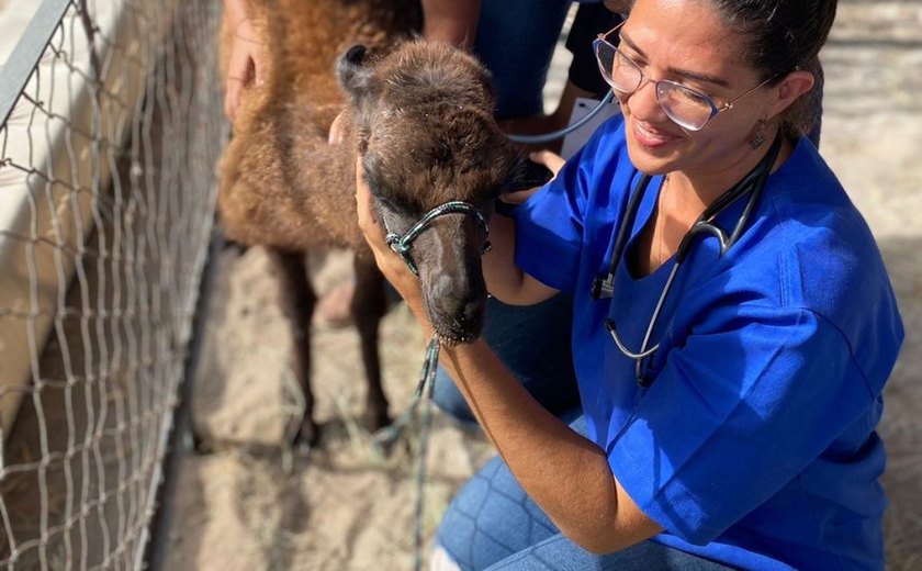 Docentes e estudantes realizam pesquisas na 72ª Expoagro Alagoas