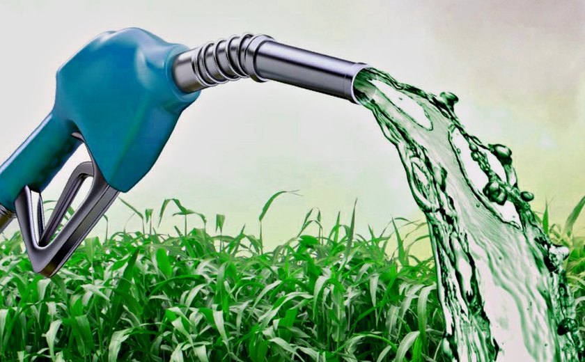 Brasil quer aumentar capacidade de produção de biocombustíveis