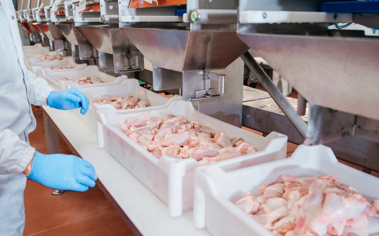 Por que você não deve lavar o frango antes de cozinhar, segundo especialistas