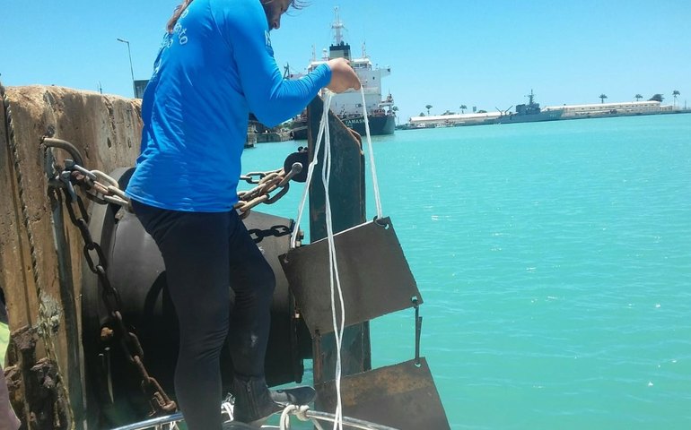 IMA instala placas de monitoramento do coral-sol em Maceió