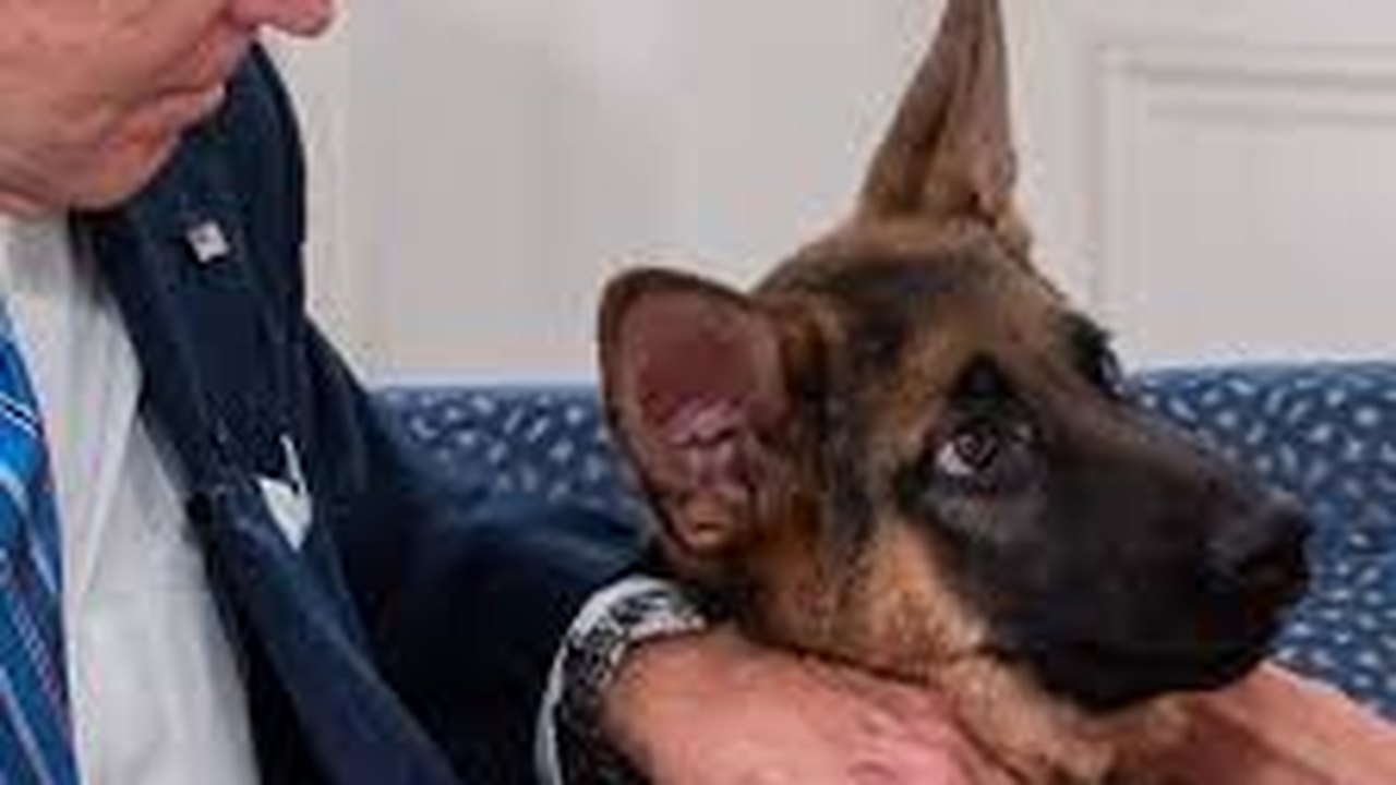Casa Branca reage após governadora pedir que cachorro de Biden seja sacrificado por morder agentes do Serviço Secreto