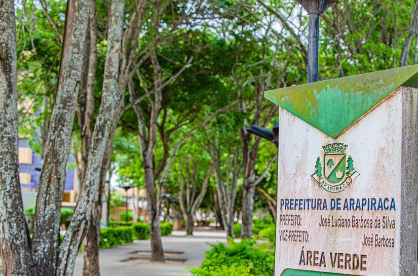 Arapiraca regulamenta compensação ambiental para supressão de árvores no município