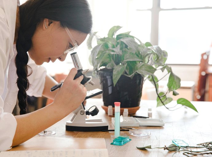 Pibic Jr: Governo de Alagoas investe R$6 milhões para iniciação científica e empreendedorismo no Ensino Médio