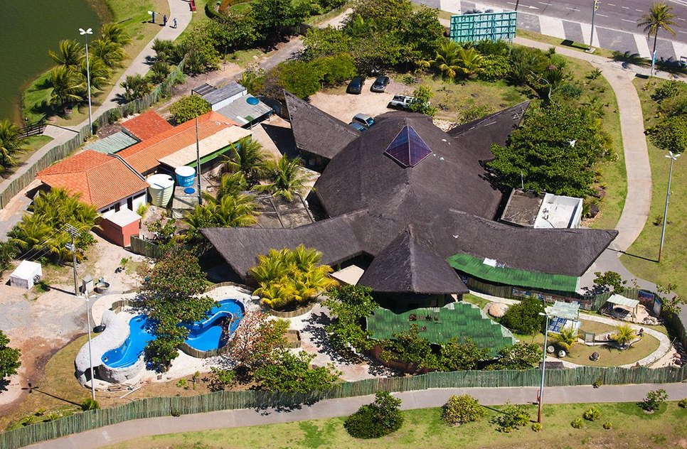 Projeto Tamar realiza programação especial para crianças
