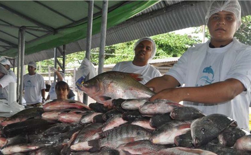 Com qualidade e preço baixo, Feira do Peixe Vivo atrai muitos consumidores