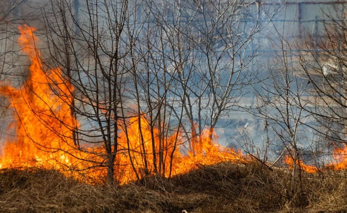 Queimadas no Nordeste devastam área de 21 milhões de hectares em cinco anos