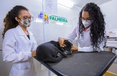 Programa Pet Amigo atenderá no Conjunto Brivaldo Medeiros nesta quinta (22), em Palmeira