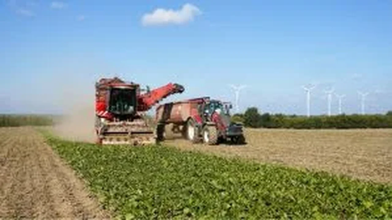 Agronegócio tem até dia 24 de fevereiro para garantir créditos fiscais já adquiridos