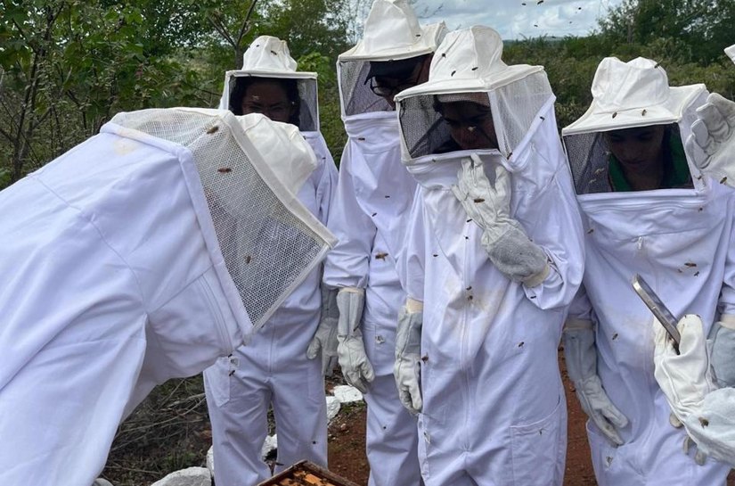Banco do Nordeste lança programa para desenvolver apicultura no agreste Alagoano