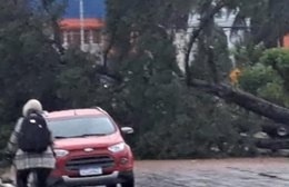 Passagem de ciclone pelo RS provoca morte e deixa 800 mil pessoas sem luz