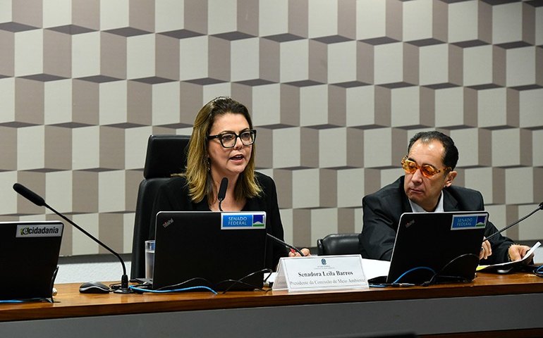 CMA cria subcomissão temporária sobre ativos ambientais brasileiros