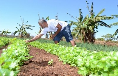 Governo vai liberar mais de R$ 2 milhões para pequenos negócios no Estado