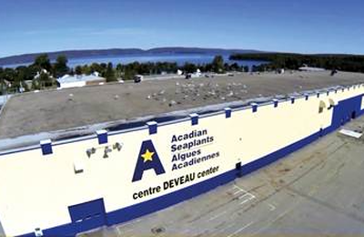 Projeto Jovem Cientista, da Acadian Sea Beyond, recebe 23 propostas de pesquisa em sua primeira edição