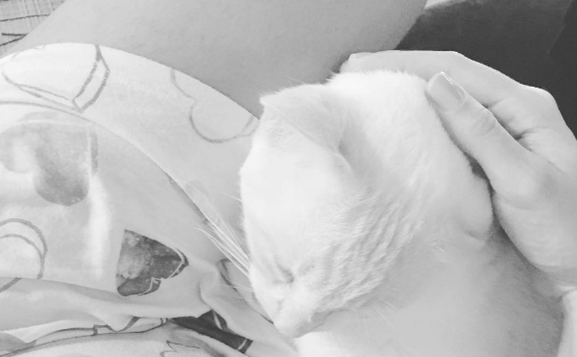 Grávida, Carol Castro mostra gato brincando com sua barriga