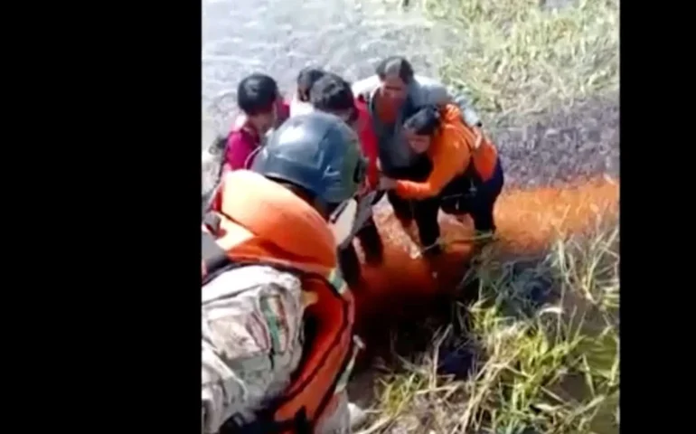 Jacarés, cobras, insetos: passageiros contam como sobreviveram por 36 horas após acidente aéreo