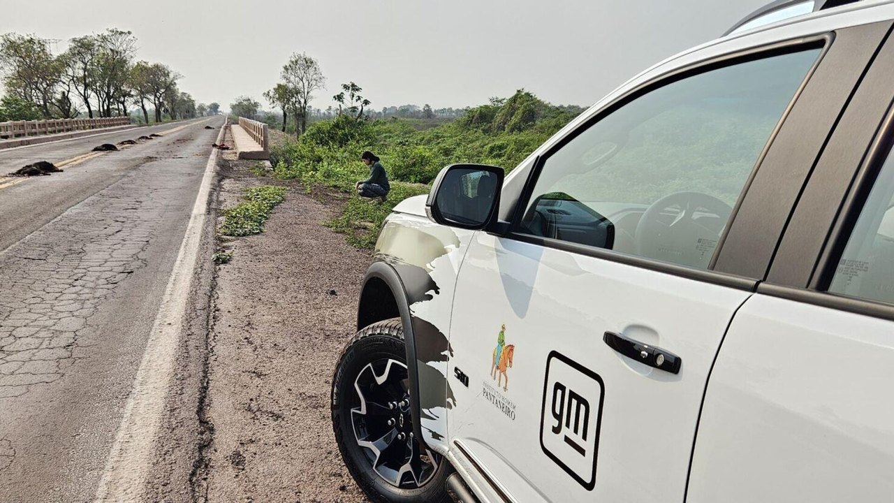 Guardiã do Pantanal: IA é usada para monitorar bioma do espaço à Terra (VÍDEO)
