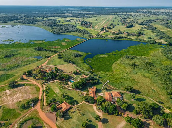 Turismo de conservação transforma viagens em experiências de impacto positivo