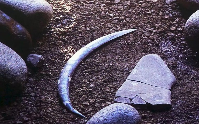 Bumerangue de 40 mil anos revela engenhosidade dos primeiros Homo sapiens (FOTOS)