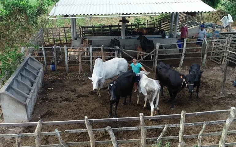 Produtores familiares de Alagoas têm acesso à tecnologia de extração de leite