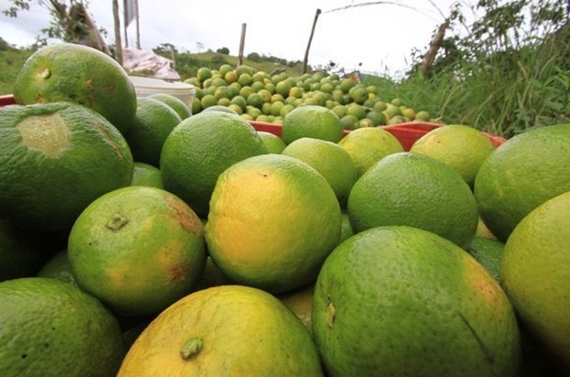 Seminário discute desafios e perspectivas para Arranjos Produtivos em Alagoas