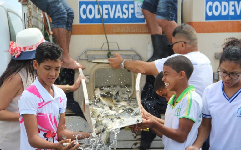 Prefeitura e Codevasf promovem peixamento do Lago da Perucaba