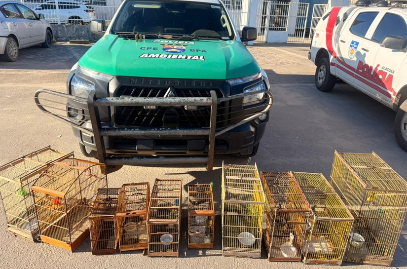 Armas de fogo e centenas de animais silvestres são apreendidos em operações do Batalhão de Polícia Ambiental