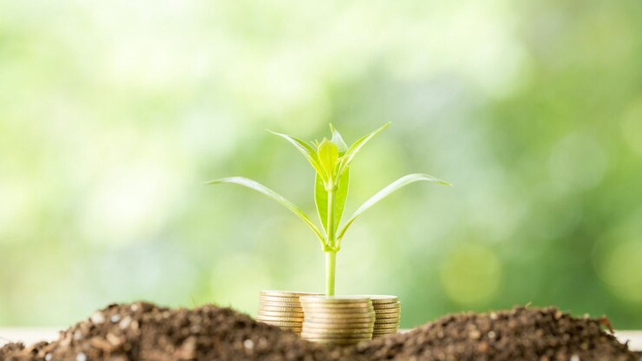 Será o Brasil a nova super economia ou ainda é cedo?