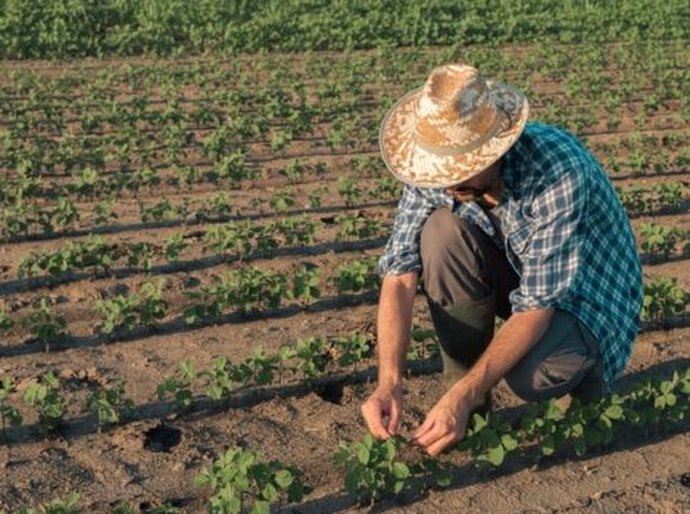 Agricultores garantem oportunidade de quitar dívida ativa da União