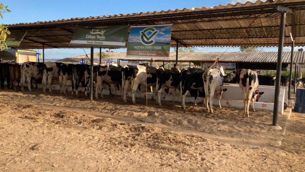 38ª Expo Bacia Leiteira já supera expectativas do setor