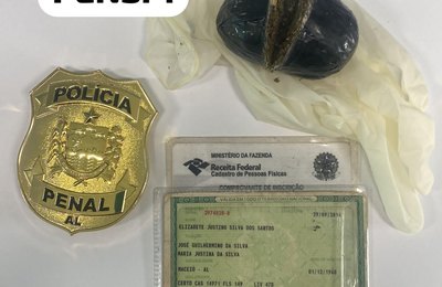 Mulher, com neto, é flagrada por policiais penais ao tentar entrar com drogas